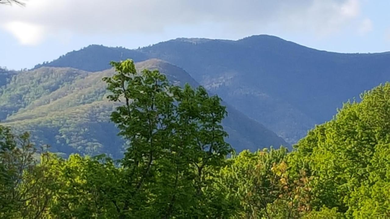 Mountain Serenity Gatlinburg Eksteriør billede